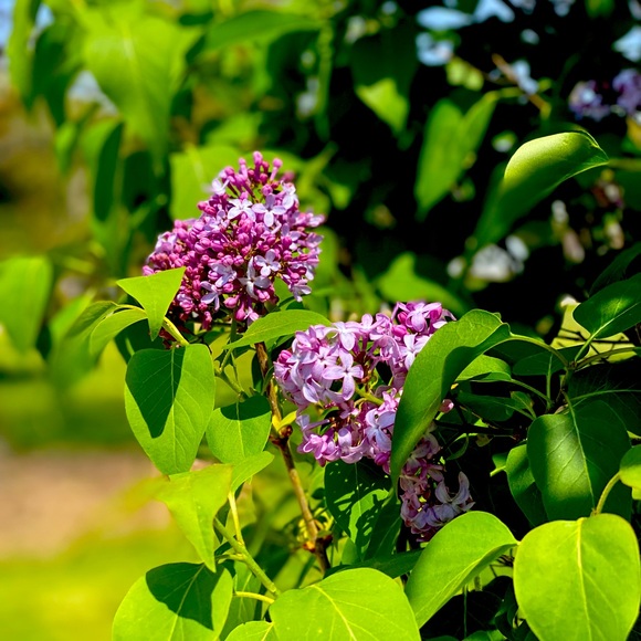 Hi! I'm Parker. - Picture 1 of 1